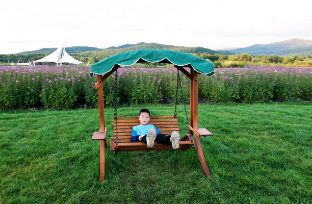 快乐的男孩坐在秋千上图片下载