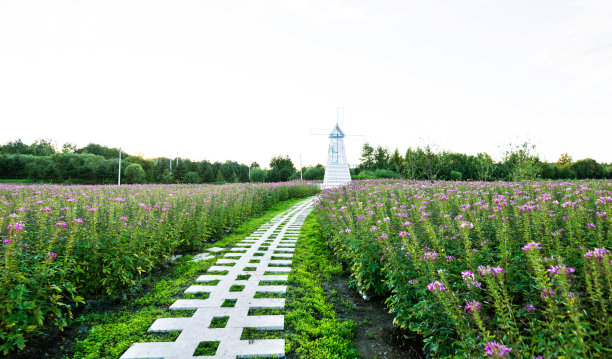 园林景观图片素材ID：305160660