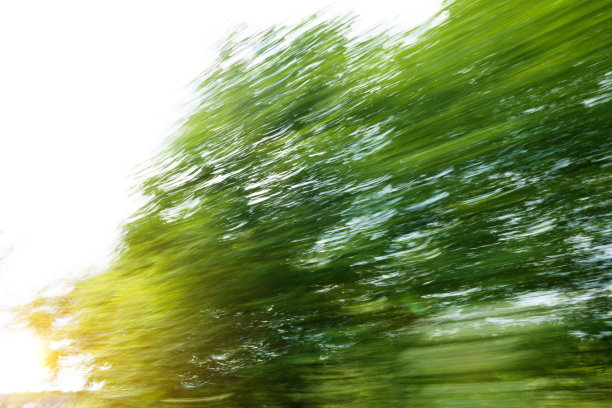 动态模糊的绿色森林图片下载