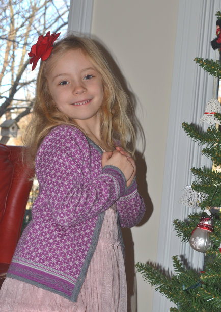 装饰圣诞树图片下载