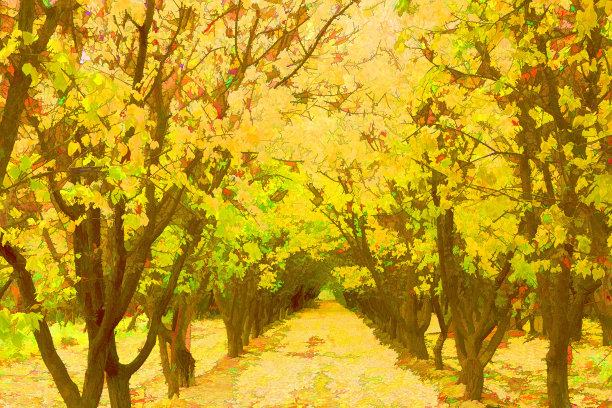 秋天的风景画面图片下载