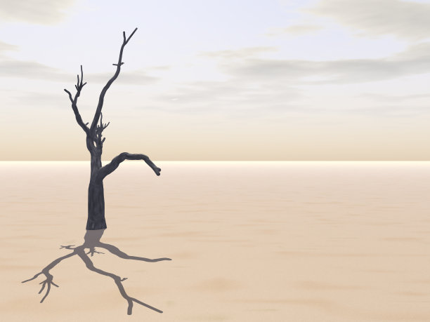 沙漠图片素材ID：305169432