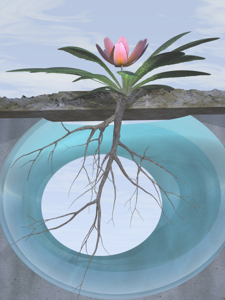 根和增长图片下载