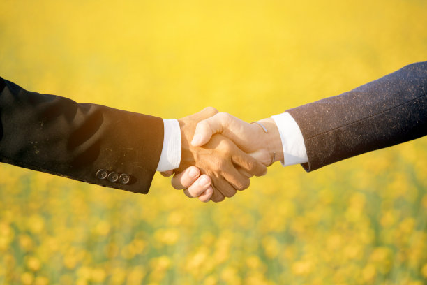 商人于黄色田野上握手的特写图片下载