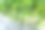 黄瓜照片素材ID：305175366
