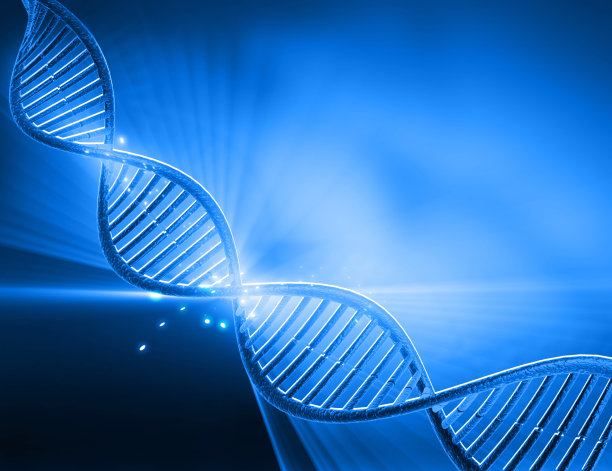 DNA结构图片下载