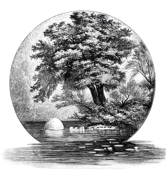 奥茨戈湖的绍森德图片下载