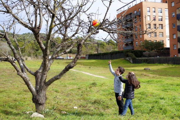 小男孩想捡回一个球图片下载