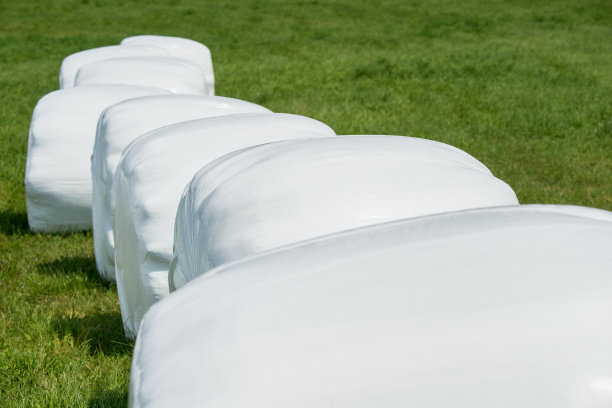 塑料覆盖的干草包图片下载