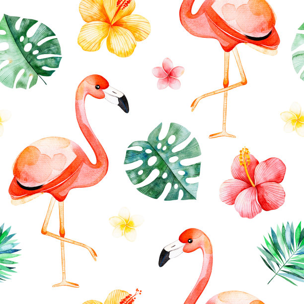 花鸟插画素材ID：305203812