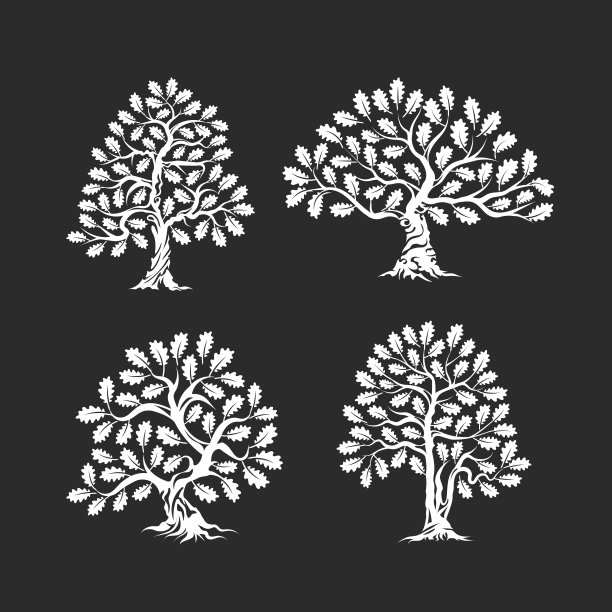 巨大和神圣的橡树剪影标志孤立在黑暗的背景。图片下载