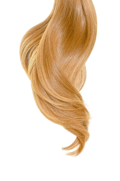 白底上的金发图片下载