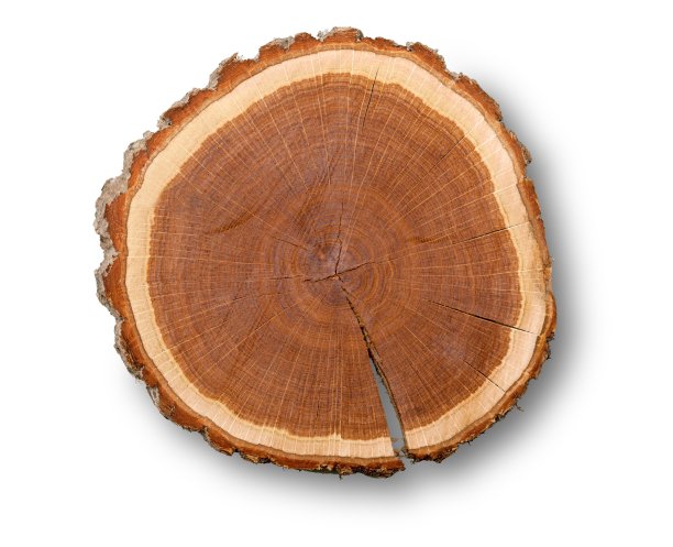 木头。图片下载