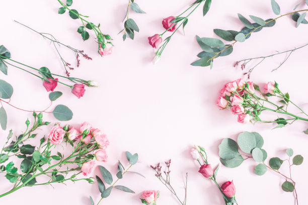 粉红色的花和桉树枝。平躺，俯视图图片下载