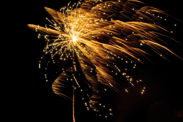 元旦联欢会图片素材ID：305219502