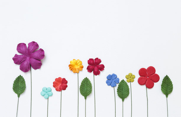 色彩缤纷的花纸设计与绿叶在白纸纹理背景图片下载