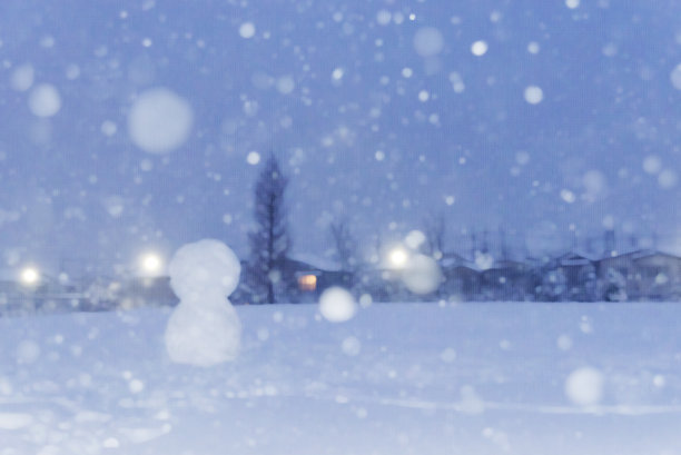 晚上公园的雪人图片下载