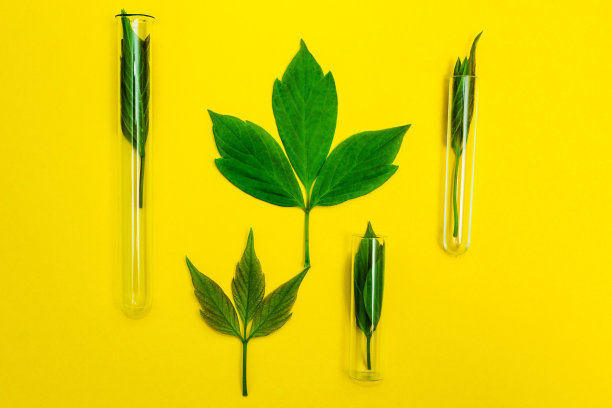 顺势疗法的概念图片下载