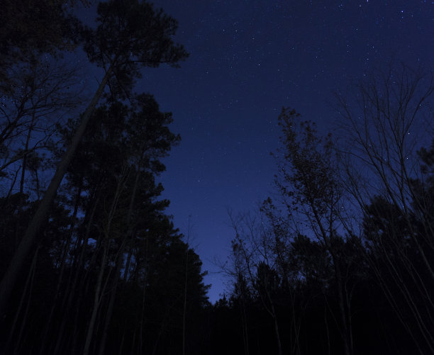 北卡罗莱纳州的树木和星星图片下载