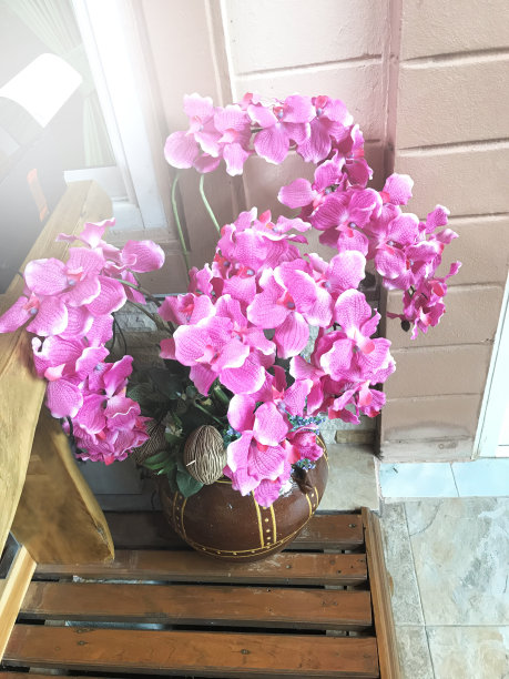 花瓶里有粉红色的兰花。图片下载