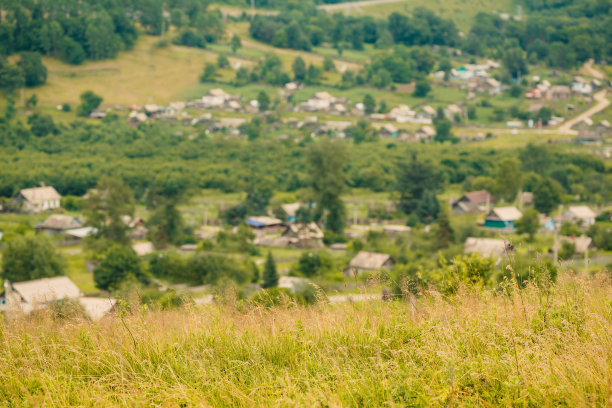 夏天的草地的背景图片下载