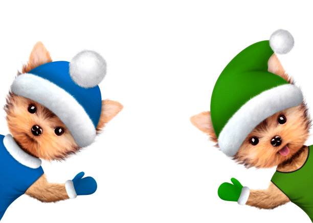 滑稽的狗穿着冬天的衣服图片下载