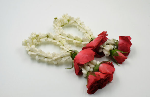 白色背景上的泰国花环图片下载