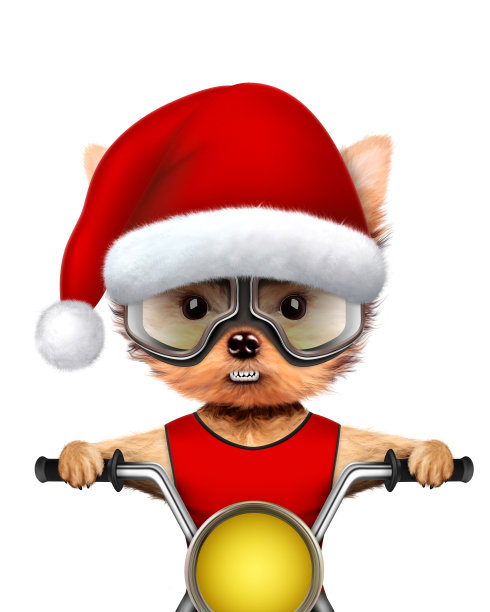 可爱的狗圣诞老人在直升机上。圣诞节的概念图片下载