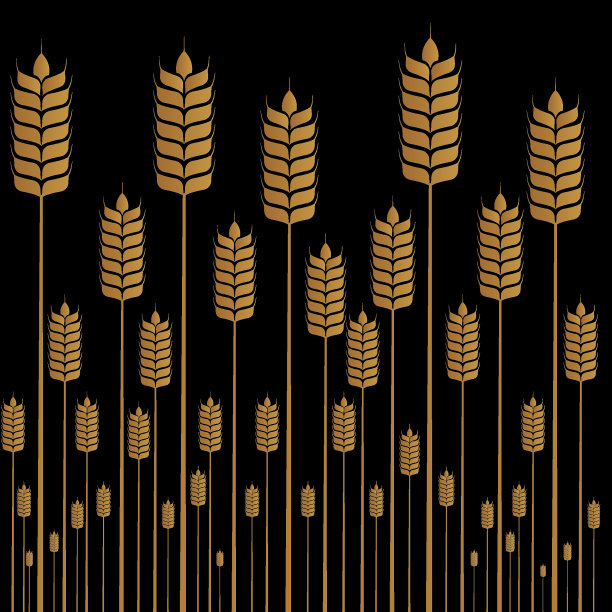 小麦飙升画图片下载