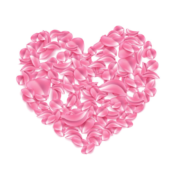 向量玫瑰，樱桃，樱花花瓣心形素材图片