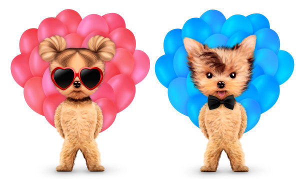 有趣的动物养了一堆气球图片下载