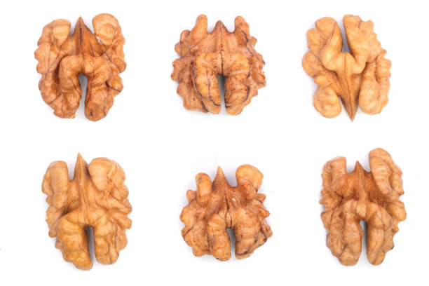 白色背景上分离的核桃仁。前视图。平的。设置或集合图片下载