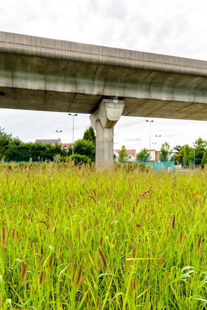 在多云的天空下，一个住宅区的城市草地被一个混凝土公路匝道悬着图片下载