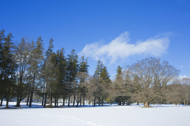 冬季公园雪图片下载