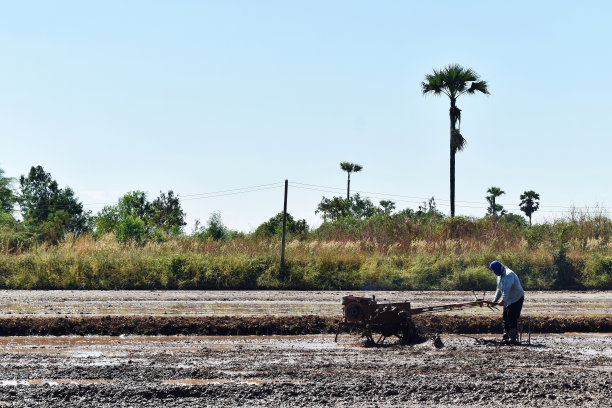 工人在稻田里犁地准备种植水稻图片下载