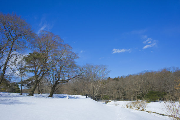 冬季公园雪图片下载