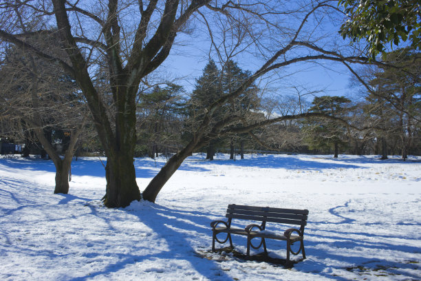 冬季公园雪图片下载
