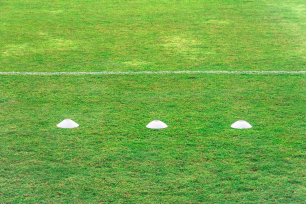 足球场里的绿草。足球场草地与体育场在蓝天的背景。图片下载