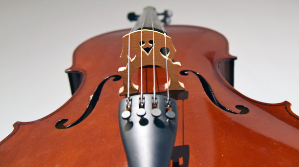 大提琴弦特写镜头图片下载