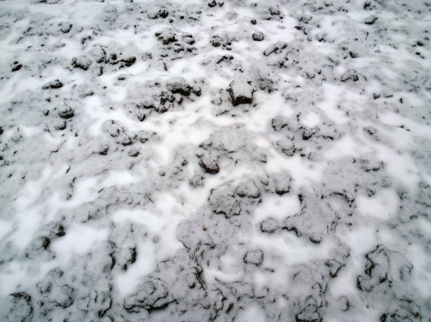 被雪覆盖的耕地。图片下载