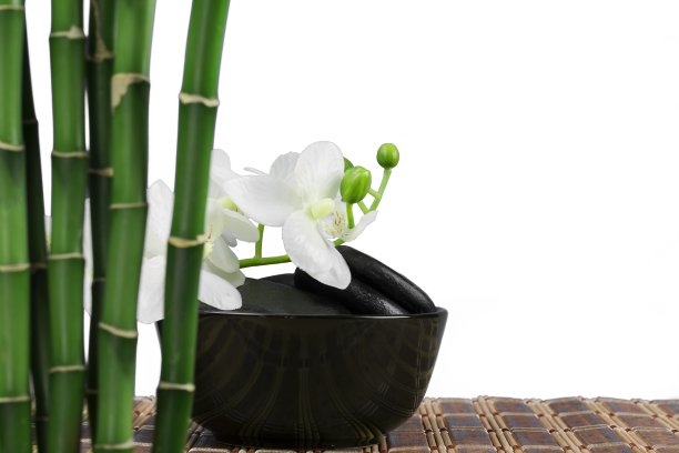 竹子。图片下载