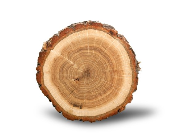 日志。图片下载