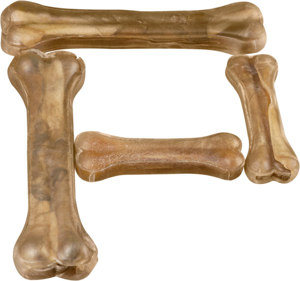 狗治疗。图片下载