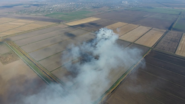 田里的稻秆燃烧。燃烧稻秆产生的烟在检查中。战场上的火图片下载
