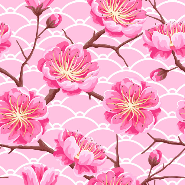 无缝图案与樱花或樱花。日本的花朵装饰图片下载