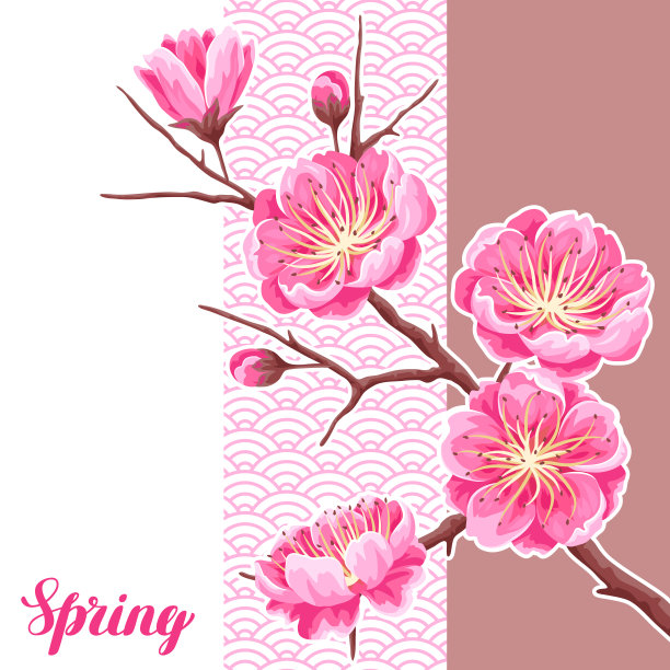 春天的背景有樱花或樱花。日本的花朵装饰图片下载