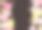 樱花矢量图素材ID：305340108