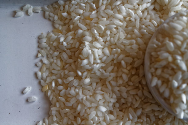 有机米小盘质地，以亚洲生短米为背景。正确的营养和健康的生活方式。顶部视图，特写作为背景或纹理图片下载