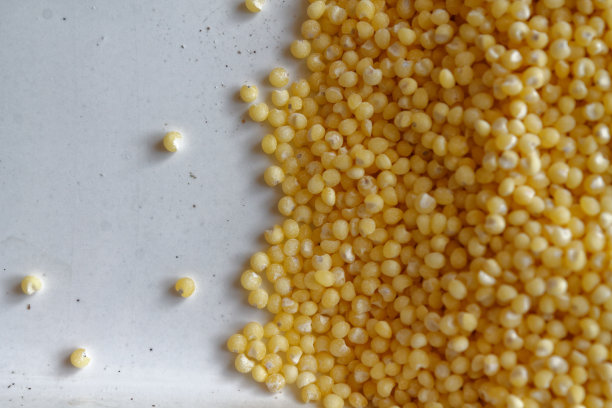 以黄谷子为质地或背景的合理营养理念和健康的生活方式。顶部视图，特写作为背景或纹理图片下载