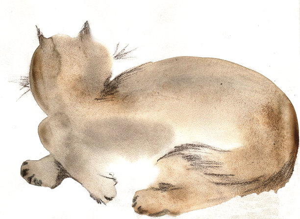 躺下的棕猫水彩画图片下载